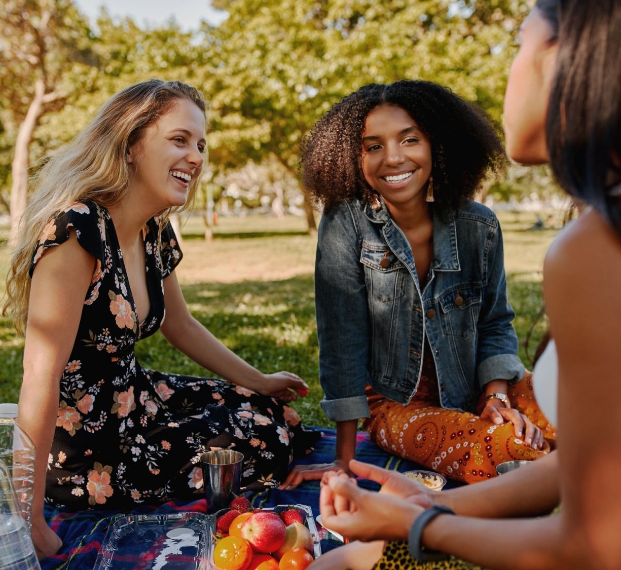Group of healthy friends having a picnic in a park